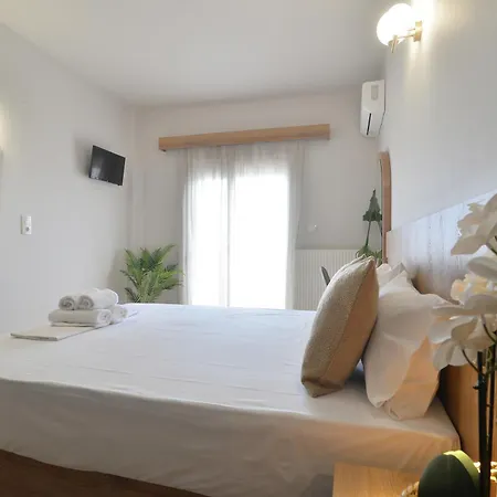 Akti * ليبتوكاريا